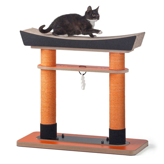 HP Cat Scratcher