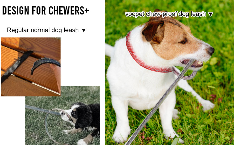 HP Chew‑Proof Dog Leash Extension