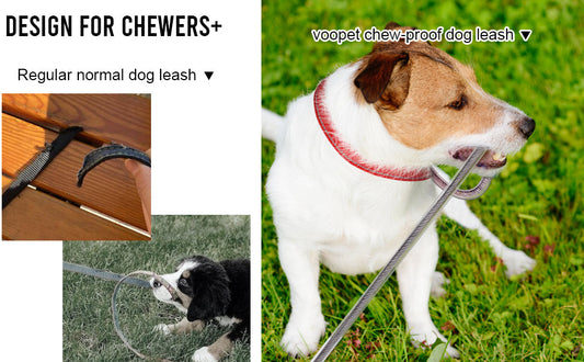 HP Chew‑Proof Dog Leash Extension